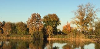 Chiusura parco San Lorenzo il PD replica al sindaco Zilocchi: “Si poteva riaprire gradualmente”