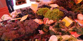 Cia Lombardia: 5 aziende mantovane pronte per la consegna a domicilio