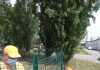 Bozzolo, posata la recinzione della nuova area verde in zona pesa pubblica