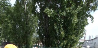 Bozzolo, posata la recinzione della nuova area verde in zona pesa pubblica