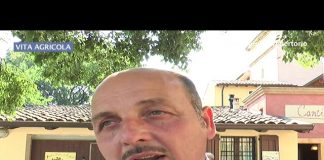 Puntata 26 – Vita Agricola – Venerdì 29 maggio 2020