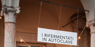 Cento scatti per la Festa (social) del Lambrusco di Viadana