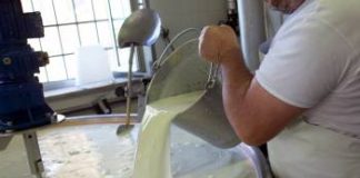 Grana Padano, Pecorino Romano e Provolone Valpadana, insieme per il “Made Green in Italy”