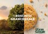 World Rainforest Day, Gran Cereale ripristina 6 boschi italiani