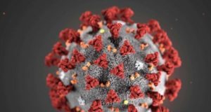 Coronavirus, una cinquantina di positivi alla Bartolini di Bologna