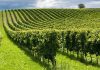 Gli italiani e l’agricoltura, cresce l’attenzione per la qualità