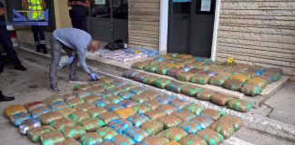 Droga, operazione tra il Sud Italia e l’Albania. Arrestate 37 persone
