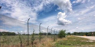 Il Migliaretto torni ai mantovani, la petizione per chiedere alla Regione di riavere in gestione l’area