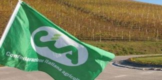 Videoconferenza con Cia agricoltori sul tema: “Il paese che vogliamo”