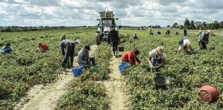 Covid, Ats: “nel tempo libero non abbassare la guardia”. Ai sindaci: “attenzione ai gruppi di lavoratori nelle campagne” Covid, Ats: "nel tempo libero non abbassare la guardia". Ai sindaci: "attenzione ai gruppi di lavoratori nelle campagne"