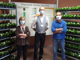 Il florovivaismo si salva con l’e-commerce. Bluflora pianta appositamente e regala begonie agli operatori sanitari