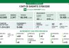 77 nuovi casi su 9.568 tamponi. Sono i dati di Regione Lombardia. Nel mantovano +6 casi