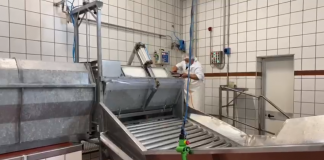 Bozzolo, è partito il macello FiocCarni. Investimento da un milione, 25 dipendenti a regime