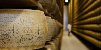 Il miglior Grana Padano al mondo è della Latteria San Pietro di Goito che punta sui giovani e apre il nuovo spaccio La Latteria San Pietro di Goito presenta la prima digital cheese experience