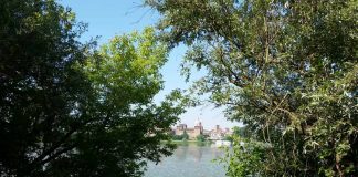 Tornano le escursioni naturalistiche del parco del Mincio: si parte sabato 20 giugno