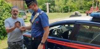 Un piccolo rondinotto di città salvato dai carabinieri