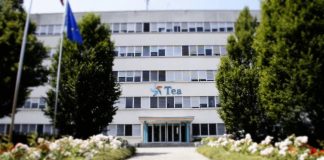 Attacco informatico a Tea rivendicato da hacker: rubate informazioni e dati personali pubblicati sul dark web