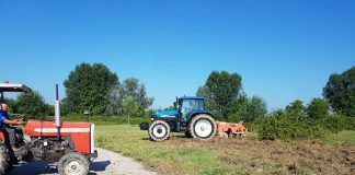 Rivarolo “Comune Amico delle api”: partite le lavorazioni del terreno, a ottobre il prato