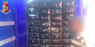 Autotrasportatore spagnolo arrestato a Milano con 350 kg di Hashish