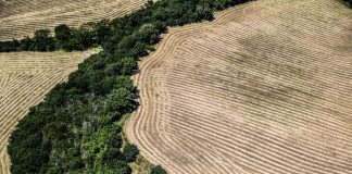 Cia “Subito legge su consumo di suolo, agricoltura sempre più a rischio”