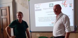 Accordo Regione-Provincia: in arrivo incentivi per la sostituzione di impianti a biomassa obsoleti