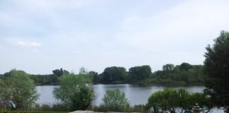 Parco del Mincio, un progetto LIFE per la riqualificazione di tre zone umide tutelate