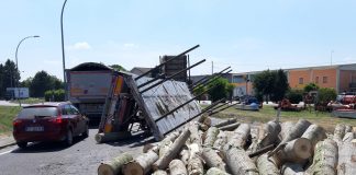 Camion perde il grosso carico di tronchi: circolazione in tilt a Pegognaga
