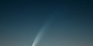 La cometa Neowise visibile a occhio nudo nei cieli mantovani. Ecco come ammirarla e immortalarla