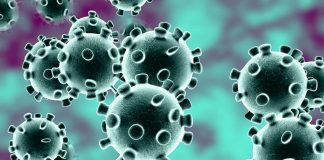 “La variante del Covid è fuori controllo”. Paura in Gran Bretagna. La mutazione trovata già in altri tre Paesi La nuova variante del coronavirus nel Regno Unito tra l'altro sembra fuori controllo, così come dichiarato dal ministro della Salute Matt Hancock. In un'intervista a Sky News, quando il giornalista gli ha chiesto se il nuovo ceppo fosse sotto controllo, Hancock ha risposto: "Purtroppo no". Proprio per questo, il ministro ha lanciato un appello al rispetto delle nuove restrizioni da parte della popolazione, bollando come irresponsabili le migliaia di londinesi messisi ieri in fila in strada e in treno in un maxi esodo dal regime di lockdown introdotto per contenere l'avanzata della pandemia.