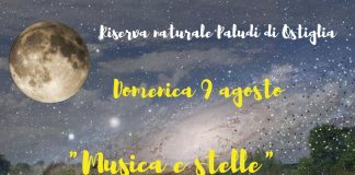 Torna “La notte delle stelle”, musica alla riserva Paludi e visita guidata alla biblioteca musicale