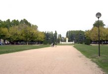 Furiose liti in strada a Ostiglia e Mantova: intervengono carabinieri e polizia Partono i lavori di sistemazione di una parte del prato di Piazza Virgiliana