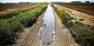 800 le aziende agricole mantovane con acqua solo per 10 giorni: chiesti interventi urgenti. Coldiretti: “prudenza per i secondi raccolti” Cia annuncia un taglio del raccolto del grano del 30% nel Centro-Nord