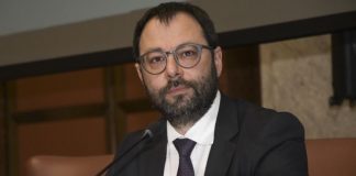 Dl Agosto, Patuanelli “In arrivo altre risorse per il settore auto”