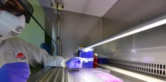 Coronavirus, in calo i nuovi positivi