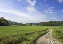 Magnacorta dei Colli: sabato 11 luglio in cammino alla scoperta di paesaggi e sapori