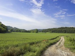 Magnacorta dei Colli: sabato 11 luglio in cammino alla scoperta di paesaggi e sapori
