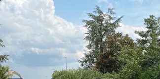 Nubifragio sul mantovano: strade allagate e alberi caduti