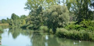 Vallazza e Valli del Mincio la Giunta Palazzi propone cinque azioni concrete