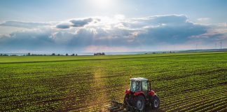 Coldiretti organizza un focus di approfondimento sulla Pac. Appuntamento il 23 e il 24 marzo in diretta Facebook