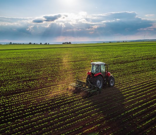 Agricoltura, due aziende mantovane tra le 100 migliori per innovazione e sostenibilità