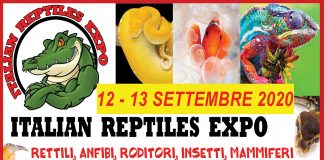 Tutti gli animali da compagnia in un’unica grande esposizione: il 12 e 13 settembre alla Grana Padano Arena
