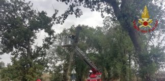 Maltempo, oltre mille interventi dei vigili del fuoco in tutta Italia