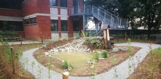 Scuola: dal Wwf una raccolta fondi straordinaria per costruire aule natura