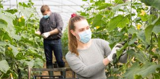 Dalla Regione 320.000 euro per 8 aziende mantovane gestite da under 40