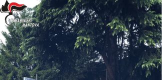 Trovato il pirata della strada che un mese fa investì un ciclista a Sabbioneta