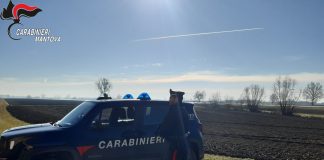 Cinque lavoratori irregolari nei campi: denunciato imprenditore agricolo