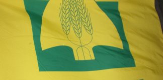 Coldiretti domani inaugura la nuova sede di Ostiglia Agricoltura, domani ad Asola Coldiretti Mantova illustra il Psr 2021-2022