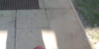 Cadono calcinacci nei palazzi popolari di Lunetta