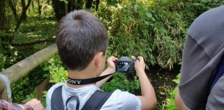 Il 12 e 13 settembre sul lago Superiore e a Bosco Fontana arriva “Bioblitz”