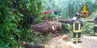 Fiumi esondati in Valle d’Aosta, Vvf volontario muore per crollo albero